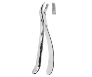 Extracting Forceps With Anatomically Shaped Handle